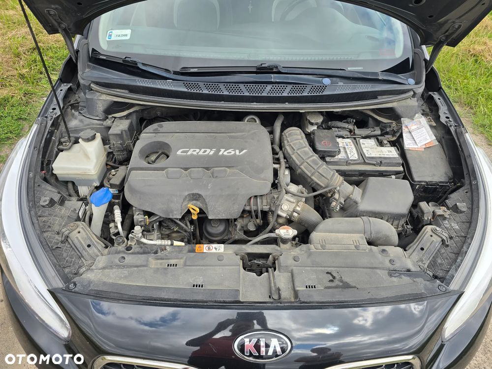 Kia Ceed 2013 photo 2