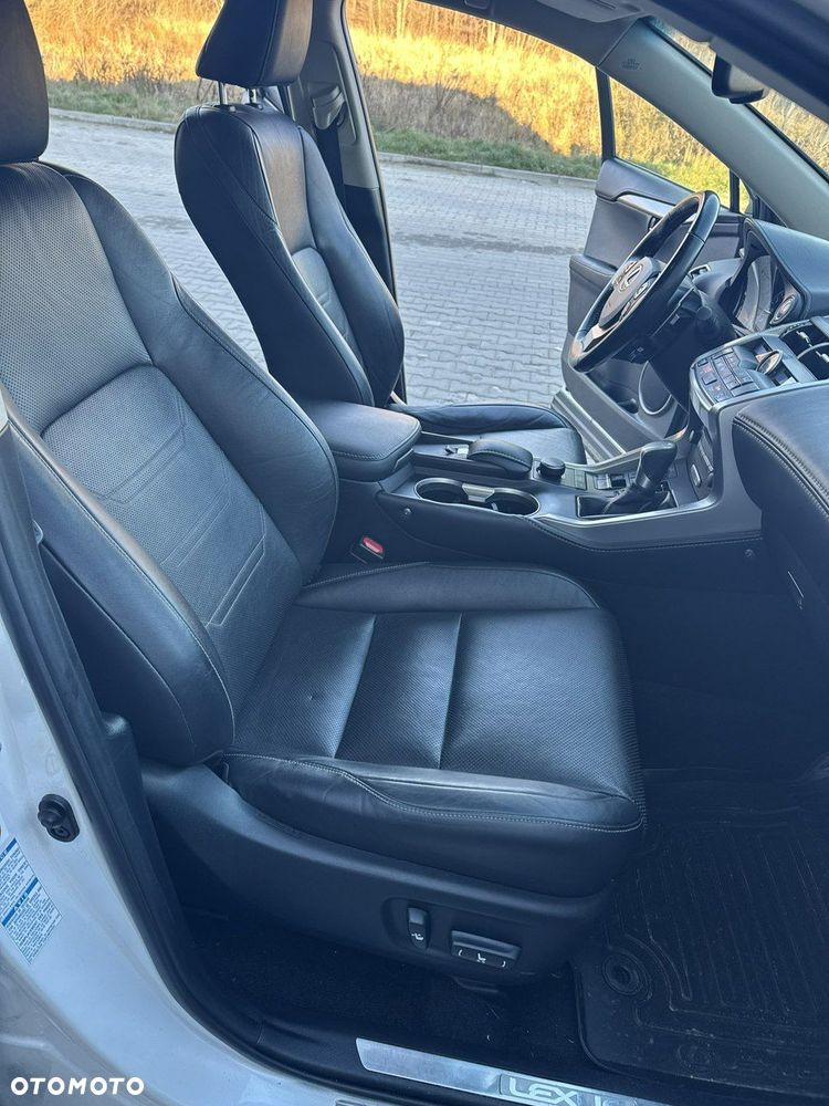 Lexus NX - 34