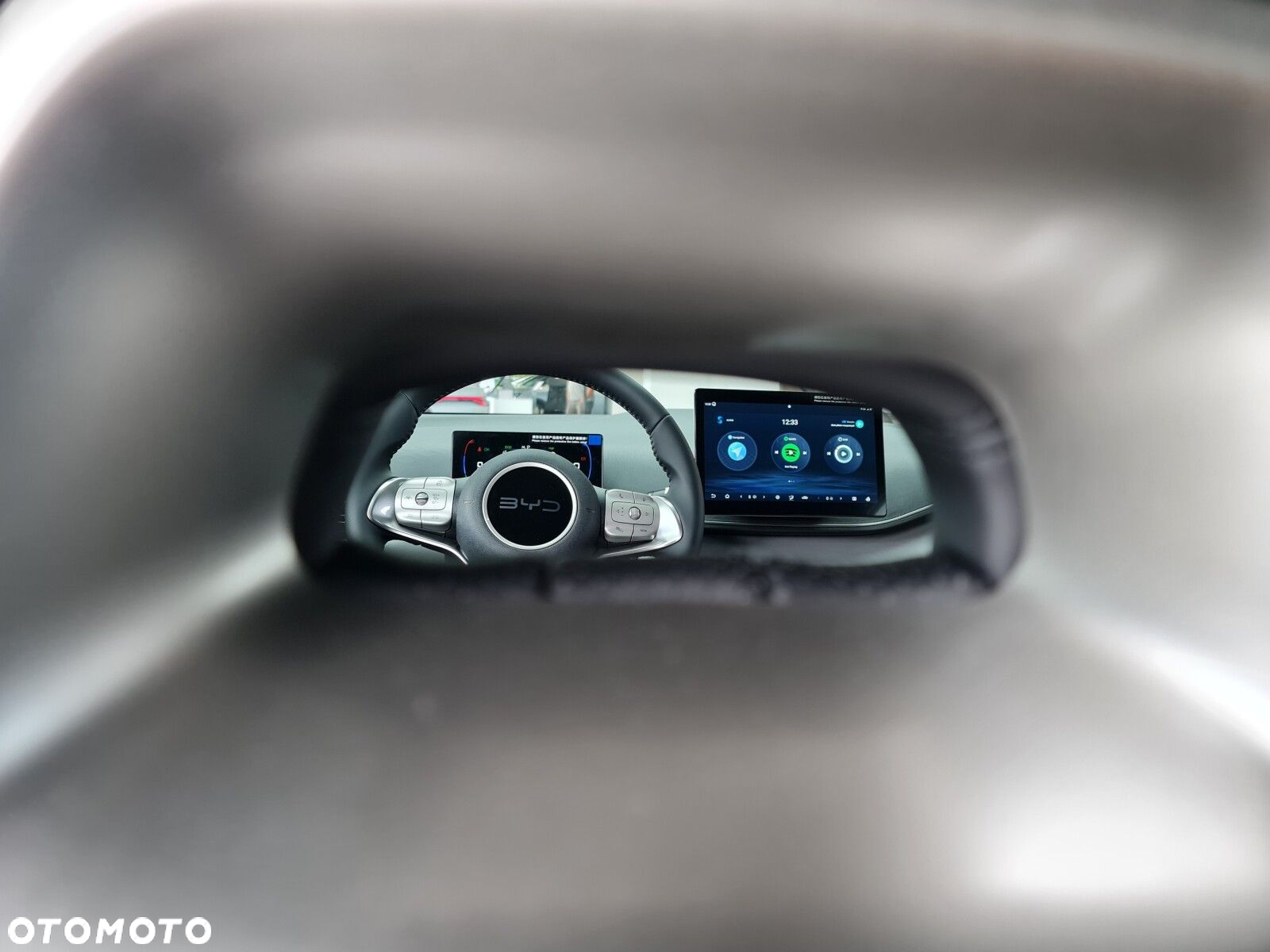 BYD Dolphin Surf - 18