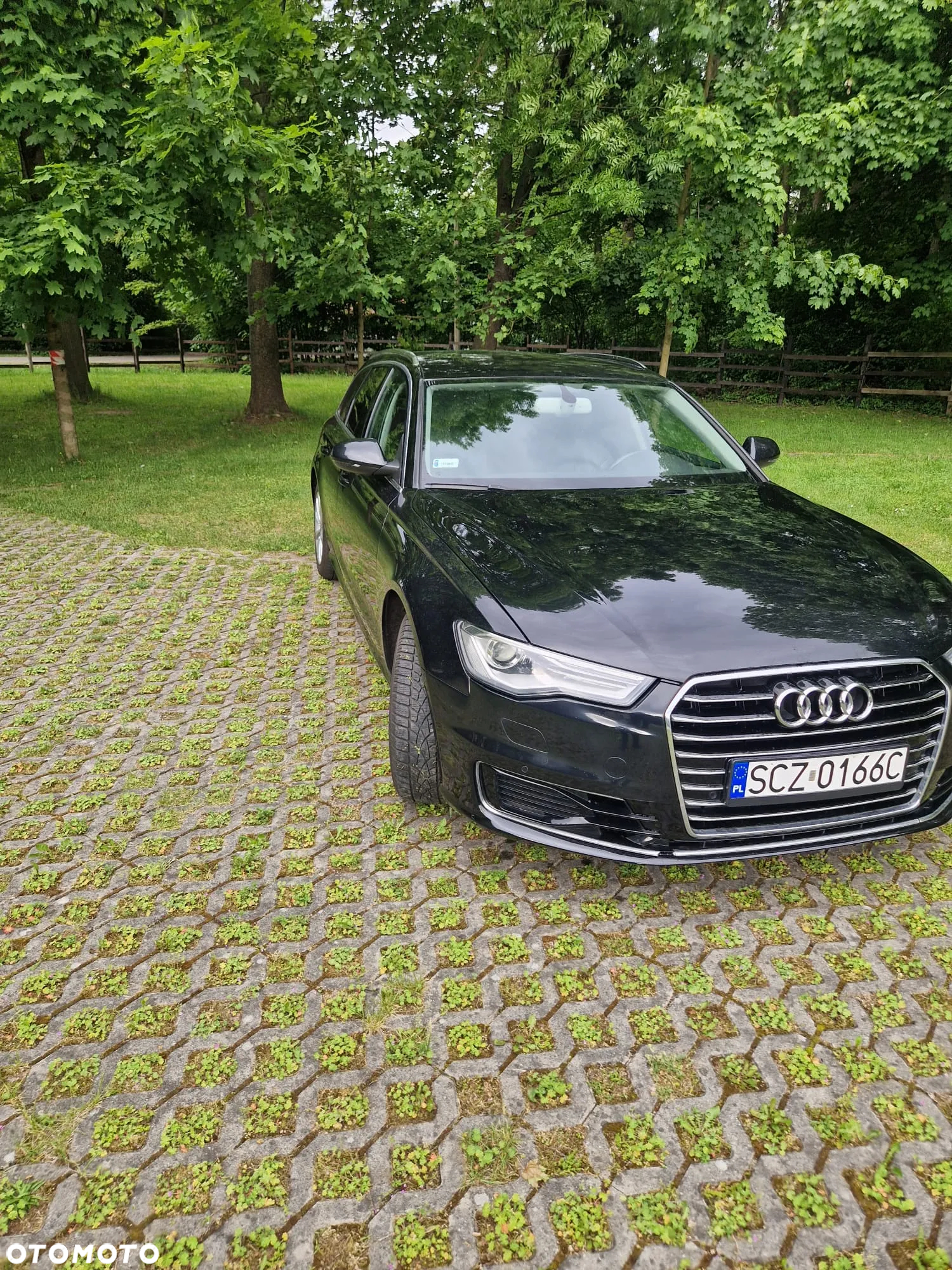 Audi A6 2.0 TDI ultra S tronic - 4