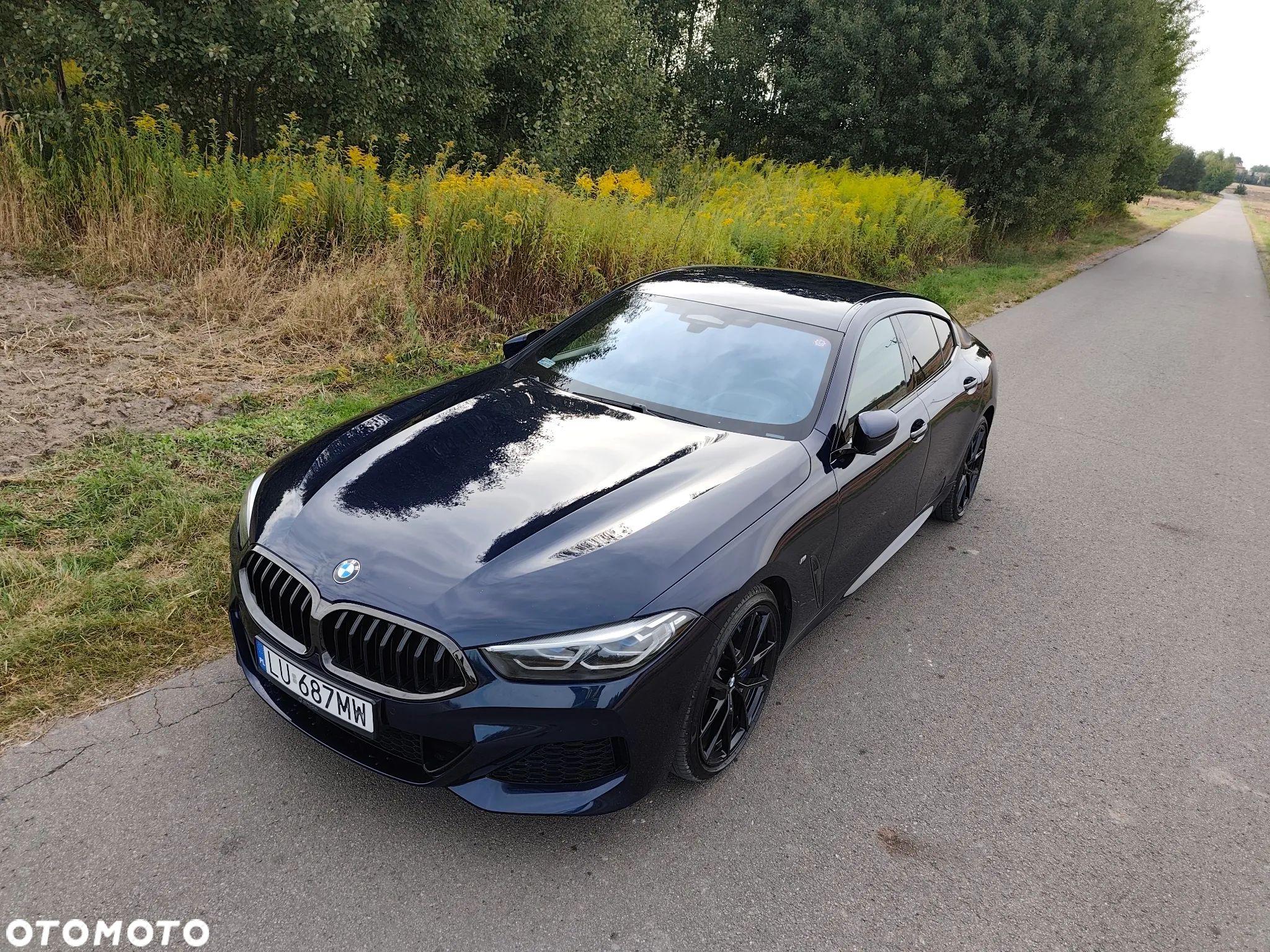 BMW Seria 8 - 1