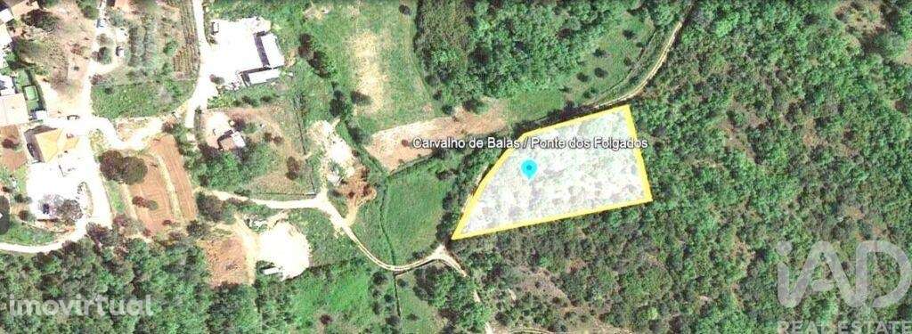 Terreno em Areias e Pias de 3400,00 m2 - Grande imagem: 2/17