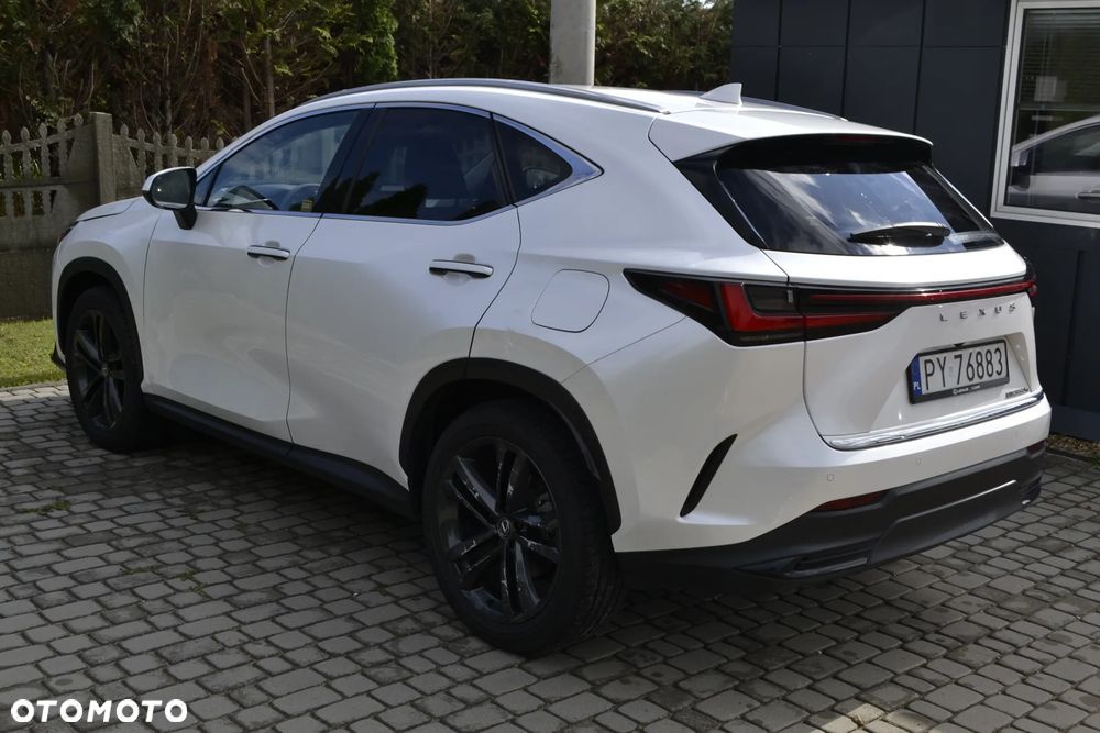 Lexus NX 350h Business AWD - 21