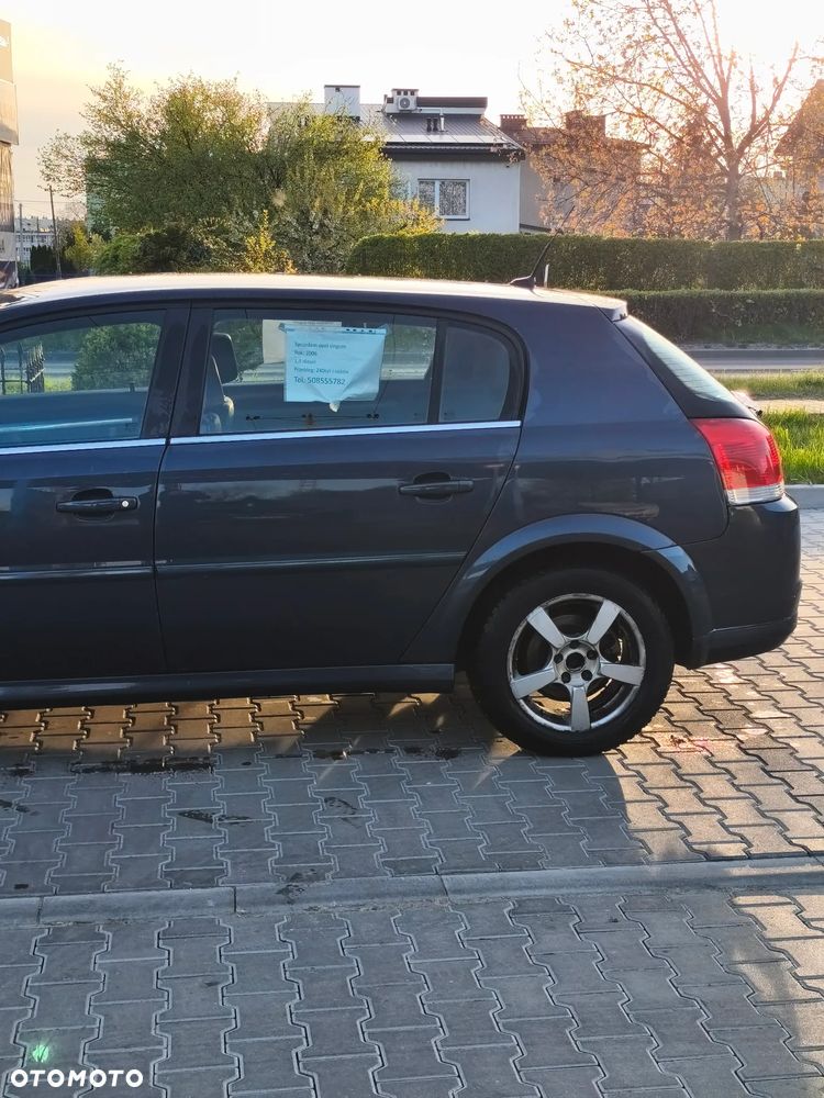 Opel Signum 1.9 CDTI Cosmo Plus - 19
