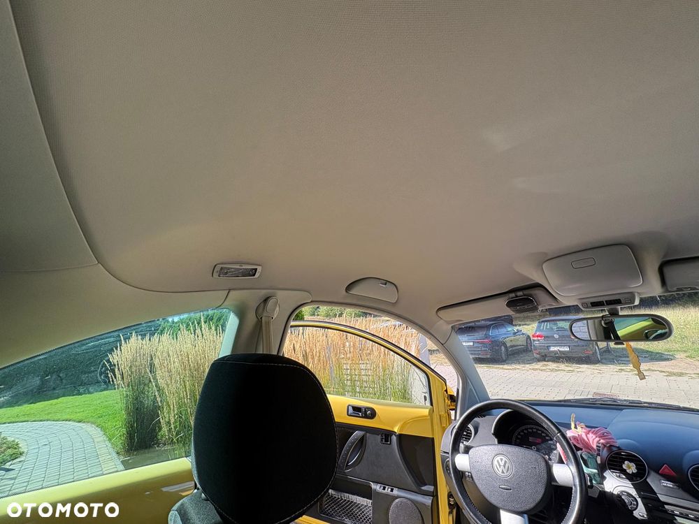 Volkswagen New Beetle - 18