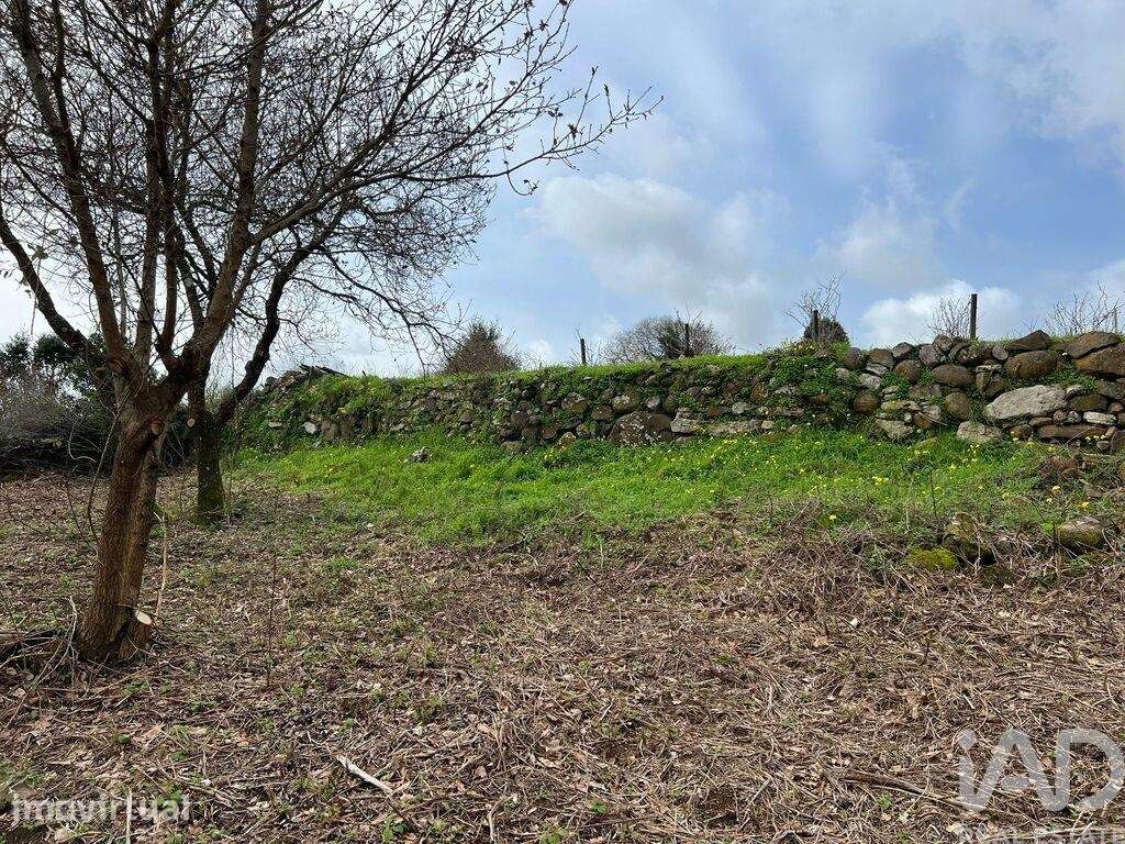 Terreno em Almargem do Bispo, Pêro Pinheiro e Montelavar - Grande imagem: 5/16