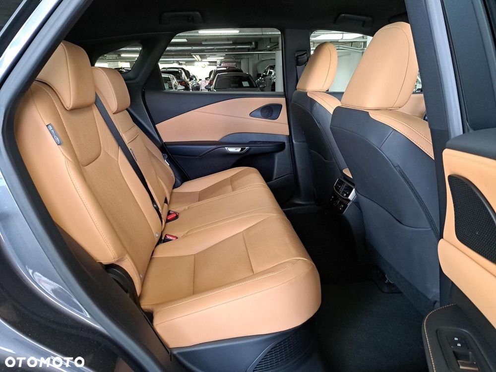 Lexus RX - 13
