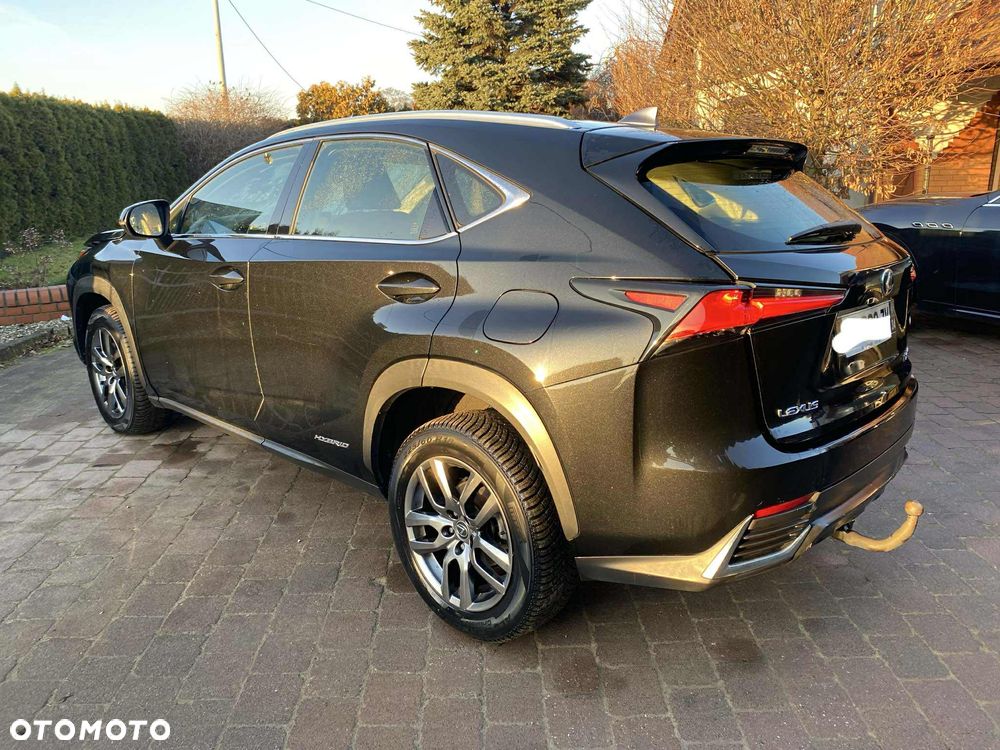 Lexus NX - 8