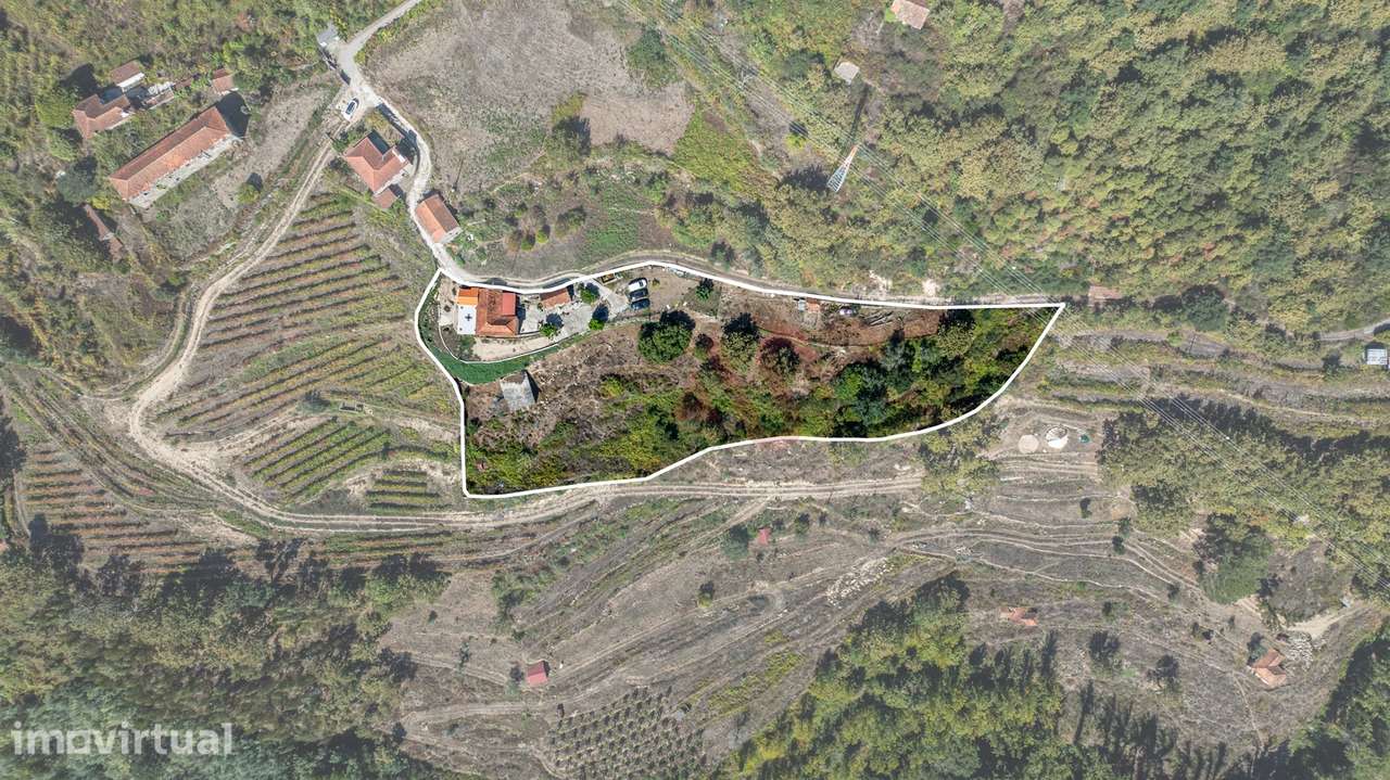 Quinta T3 em Souselo, Cinfães – Charme, Natureza e Tranquilidade! - Grande imagem: 2/25