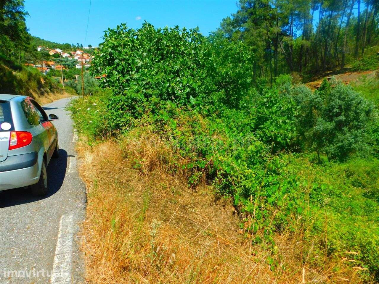 Terreno / Castelo Branco, São Vicente da Beira - Grande imagem: 2/5
