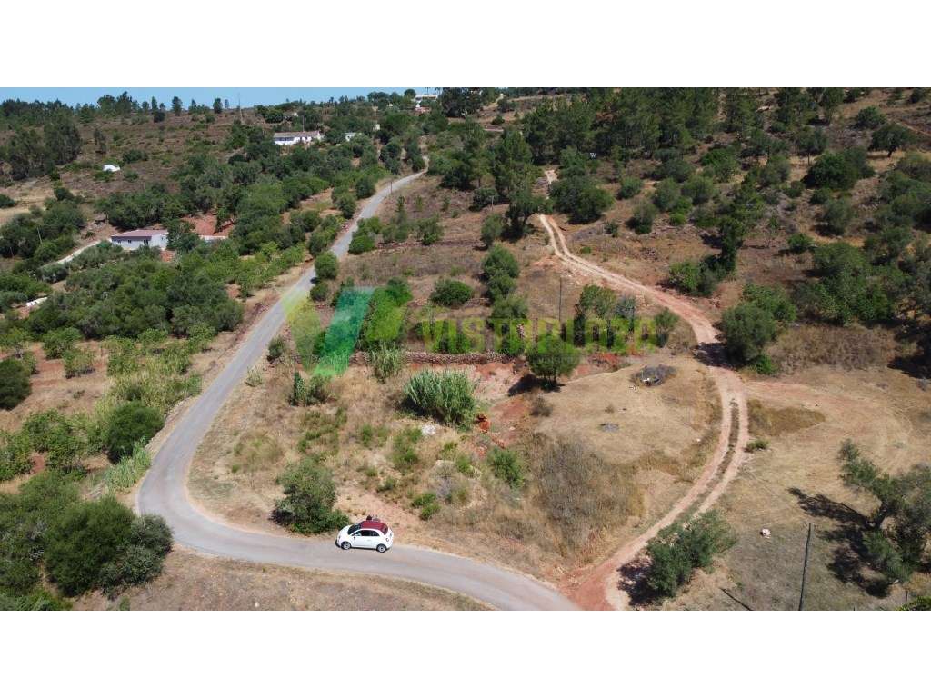 Terreno Rústico com 8.600 m² em Pedreiras, São Bartolomeu de Messin... - Grande imagem: 3/17