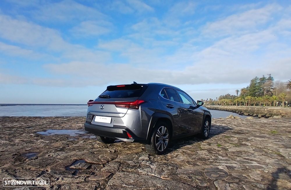 Lexus UX 300e Luxury+TAE+JLL18 - 6