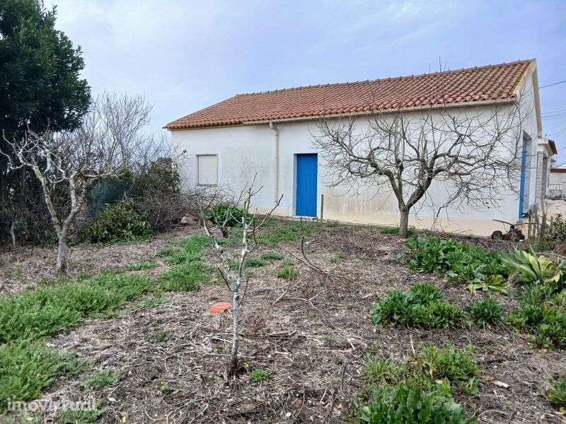 Refúgio Contemporâneo com Potencial de Investimento - Grande imagem: 5/12