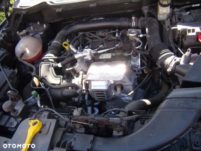 Ford EcoSport 1.0 EcoBoost GPF Navi Editon ASS - 13