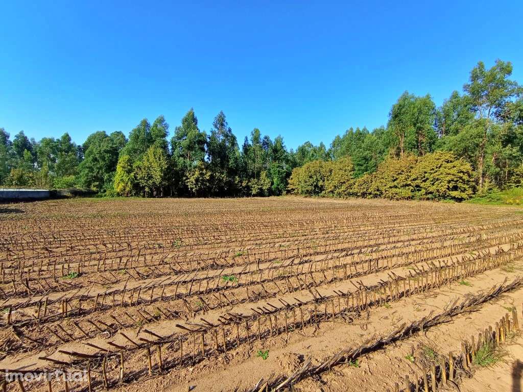 Terreno com 10.600m2 em Alfena - Grande imagem: 3/4