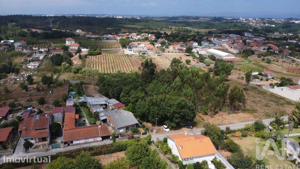 Terreno em Sangalhos - Grande imagem: 3/12