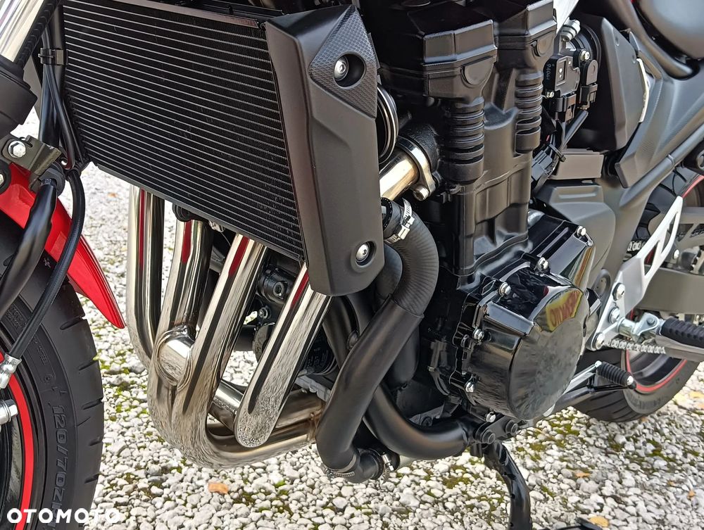 Suzuki Bandit - 31