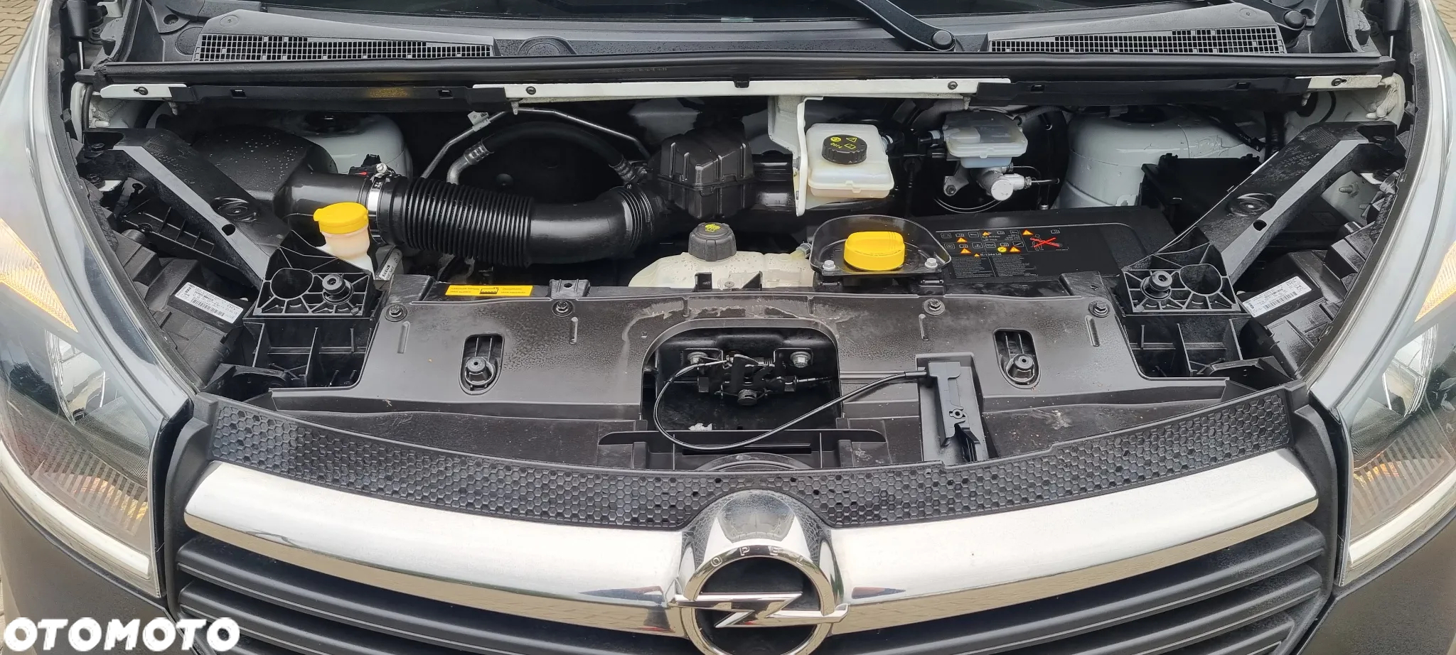 Renault Trafic - 21
