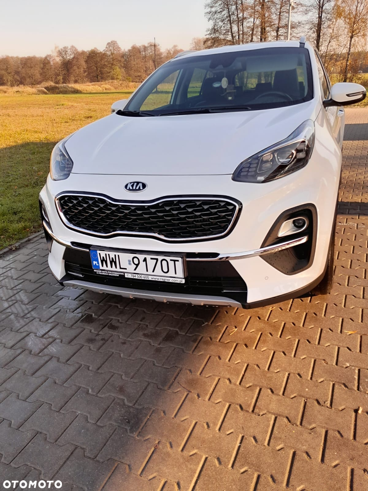 Kia Sportage 1.6 T-GDI L Business Line Plus 2WD DCT - 30