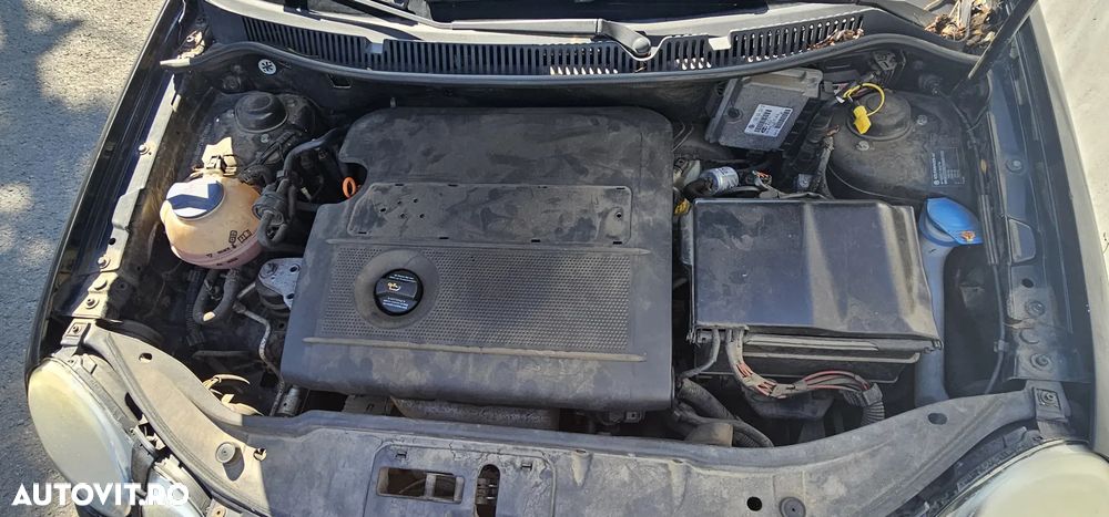 Volkswagen Polo - 13