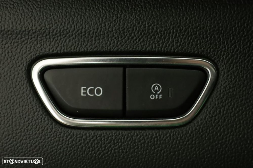 Renault Kadjar 1.5 Blue dCi Intens EDC - 20