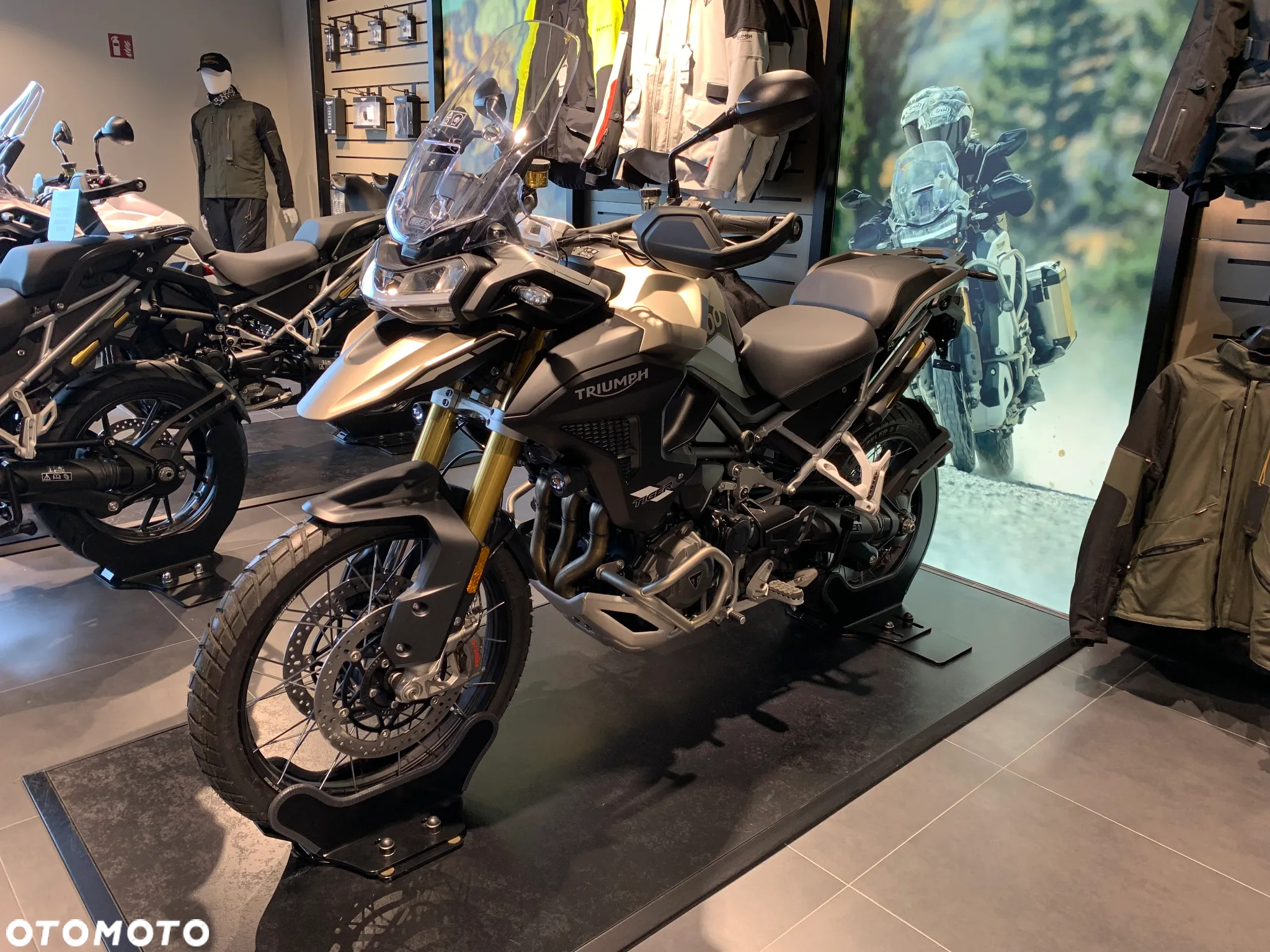 Triumph Tiger - 2