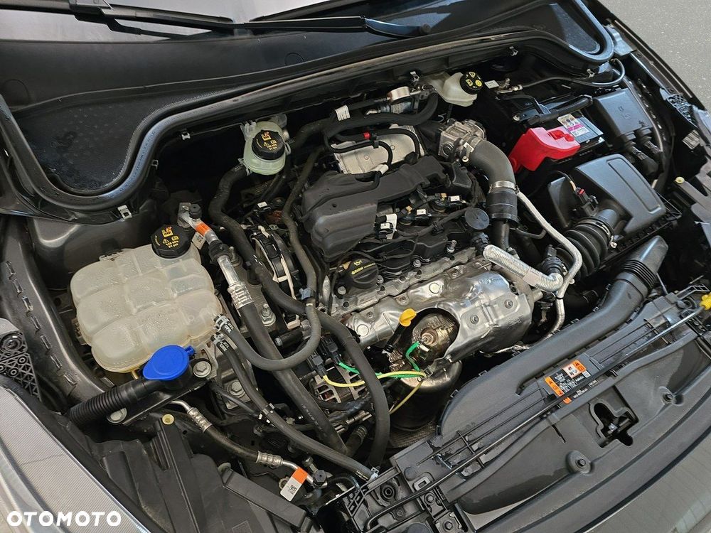 Ford Focus - 14