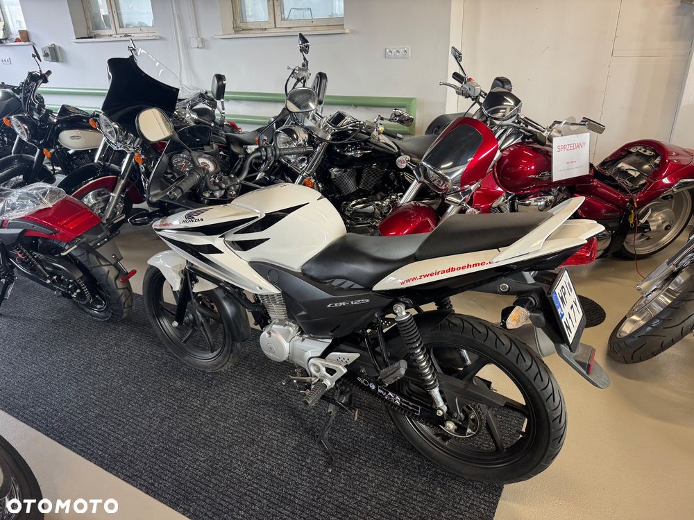 Honda CBF - 3