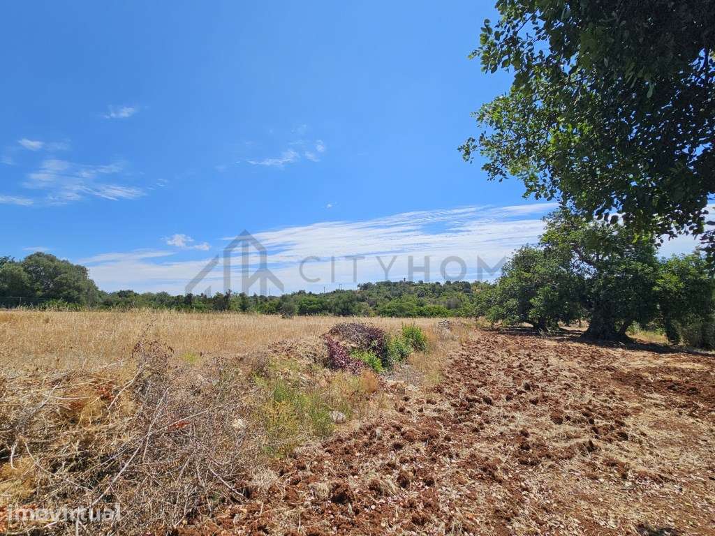 Terreno Rústico Plano nas Ferreiras - Albufeira - Excelente Localiz... - Grande imagem: 3/14