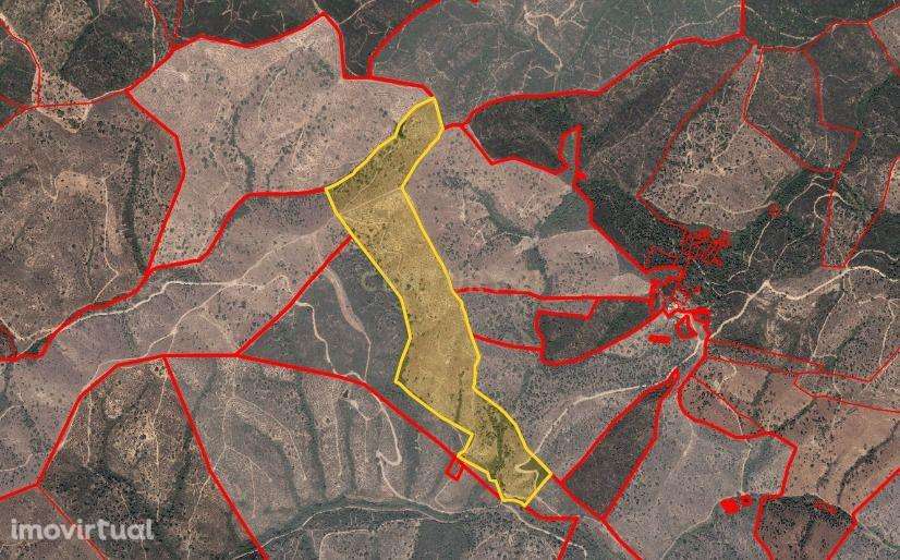 Terreno de 10Hetares com sobreiros. - Grande imagem: 2/4