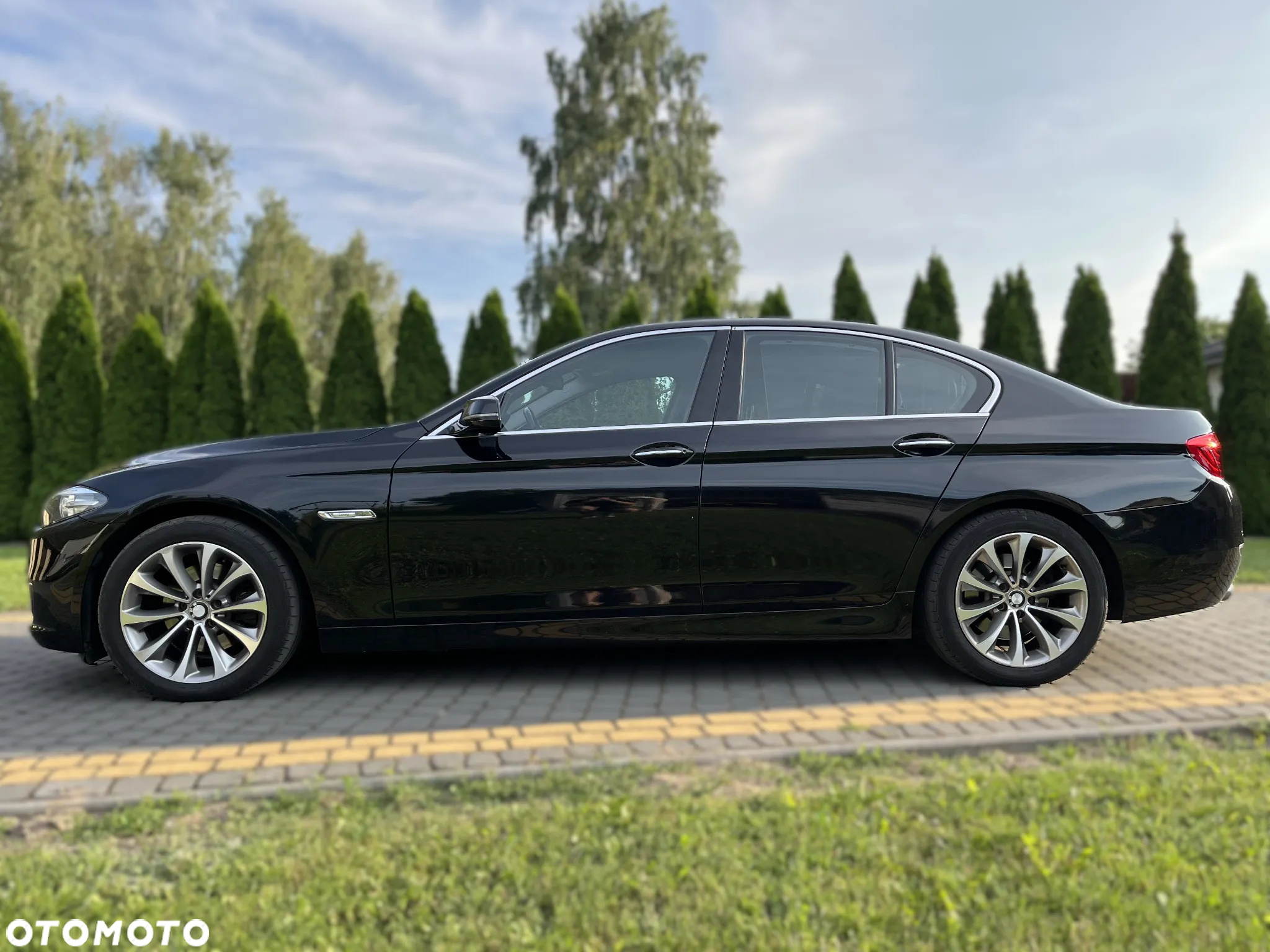 BMW Seria 5 520d xDrive Luxury Line - 2