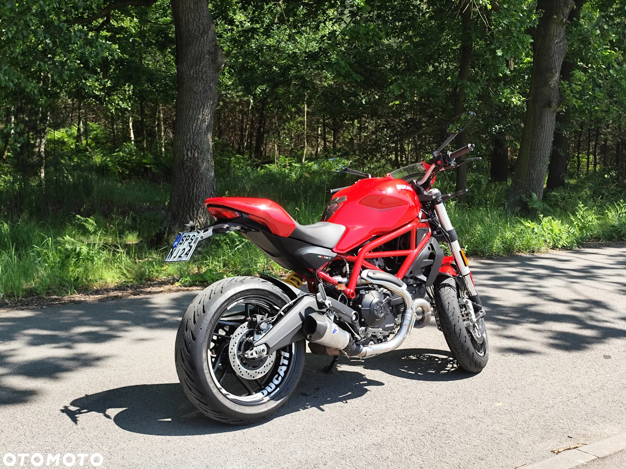 Ducati Monster - 5