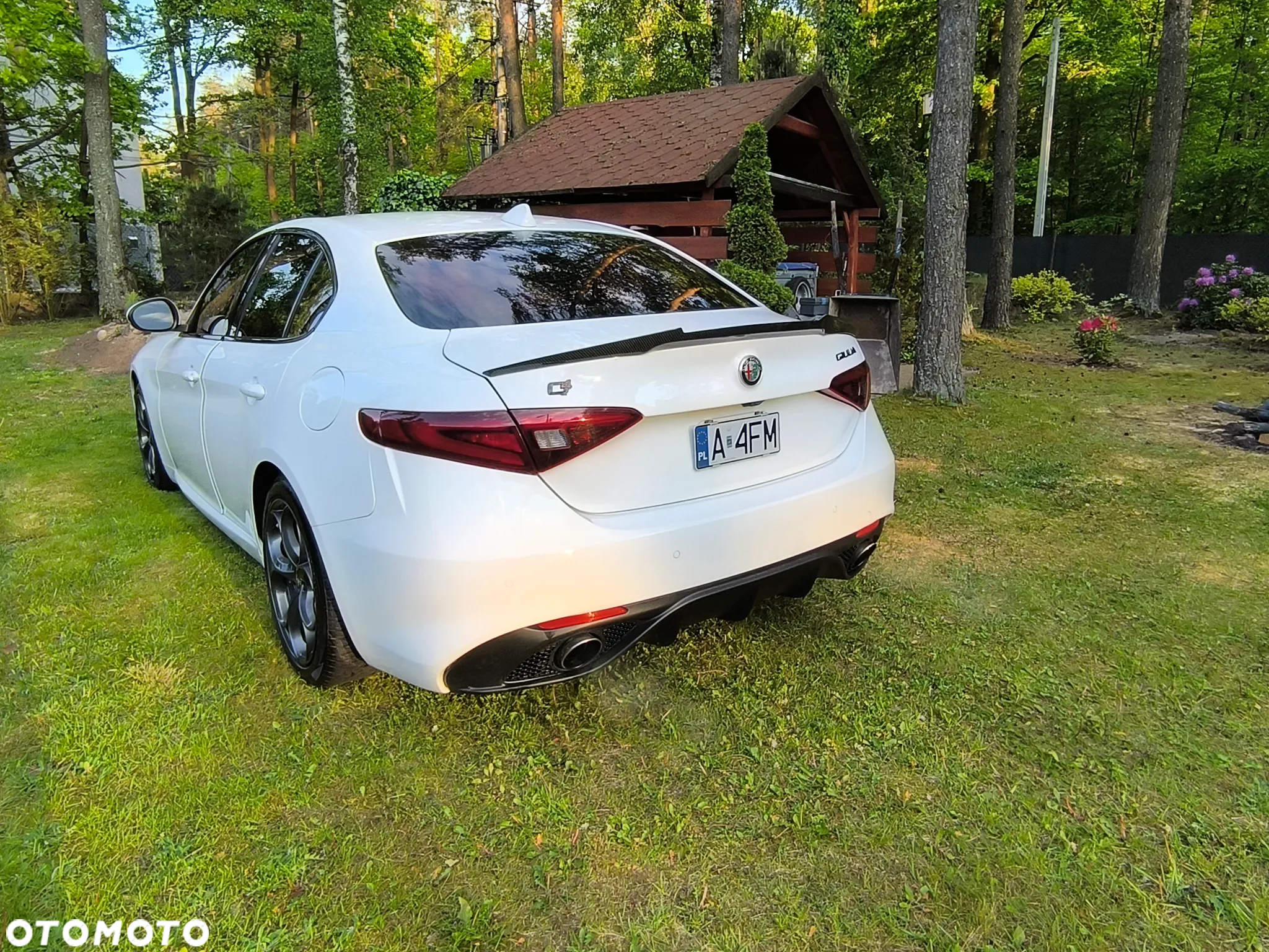 Alfa Romeo Giulia 2.0 Turbo TI Q4 - 7