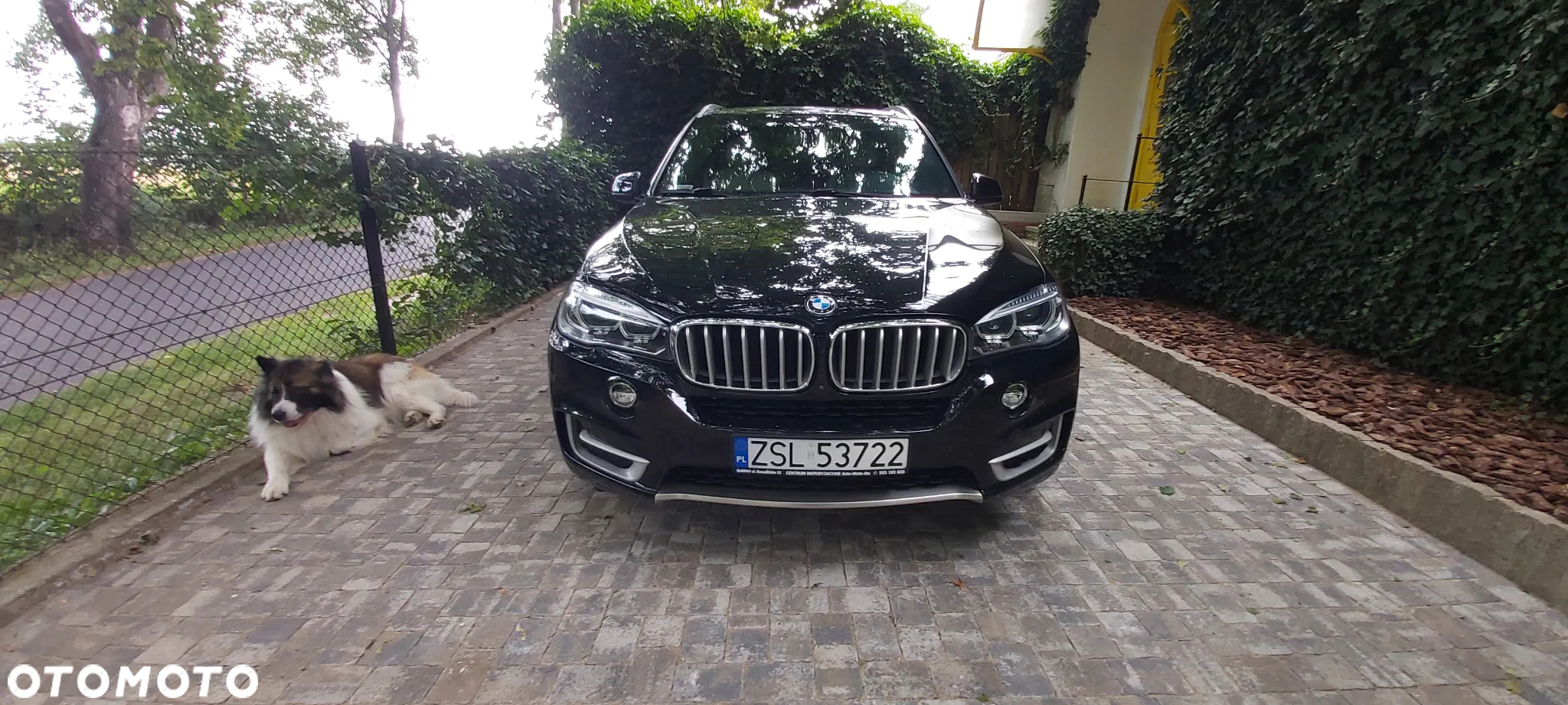 BMW X5 - 8