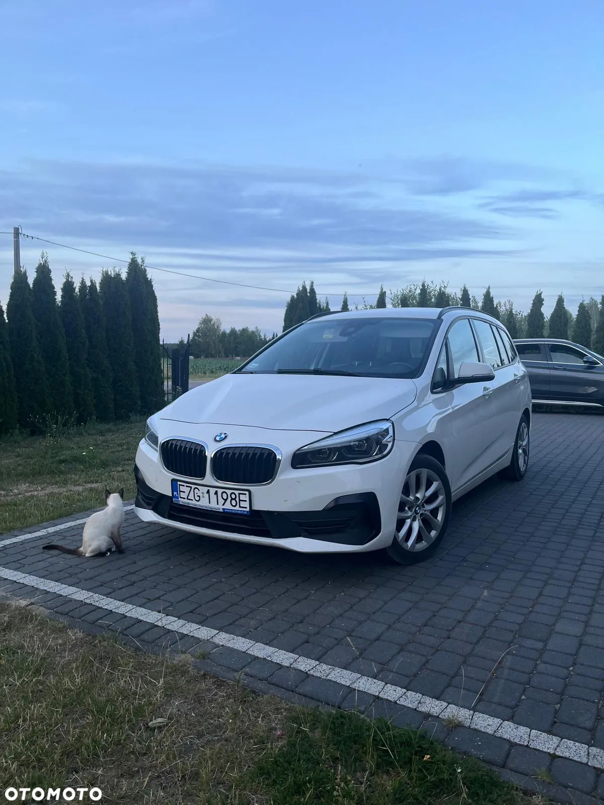 BMW Seria 2 218d Advantage - 6