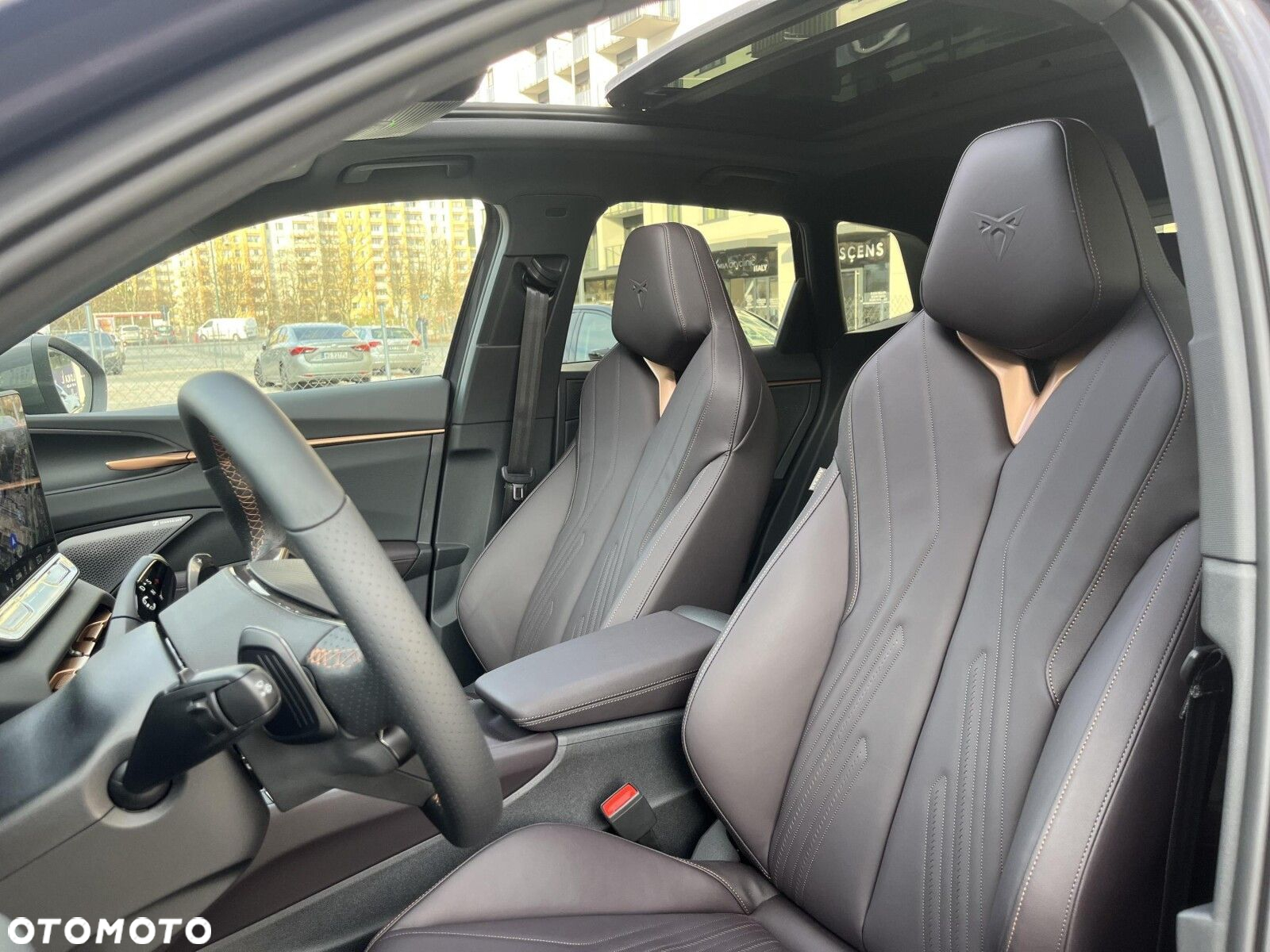 Cupra Terramar - 13