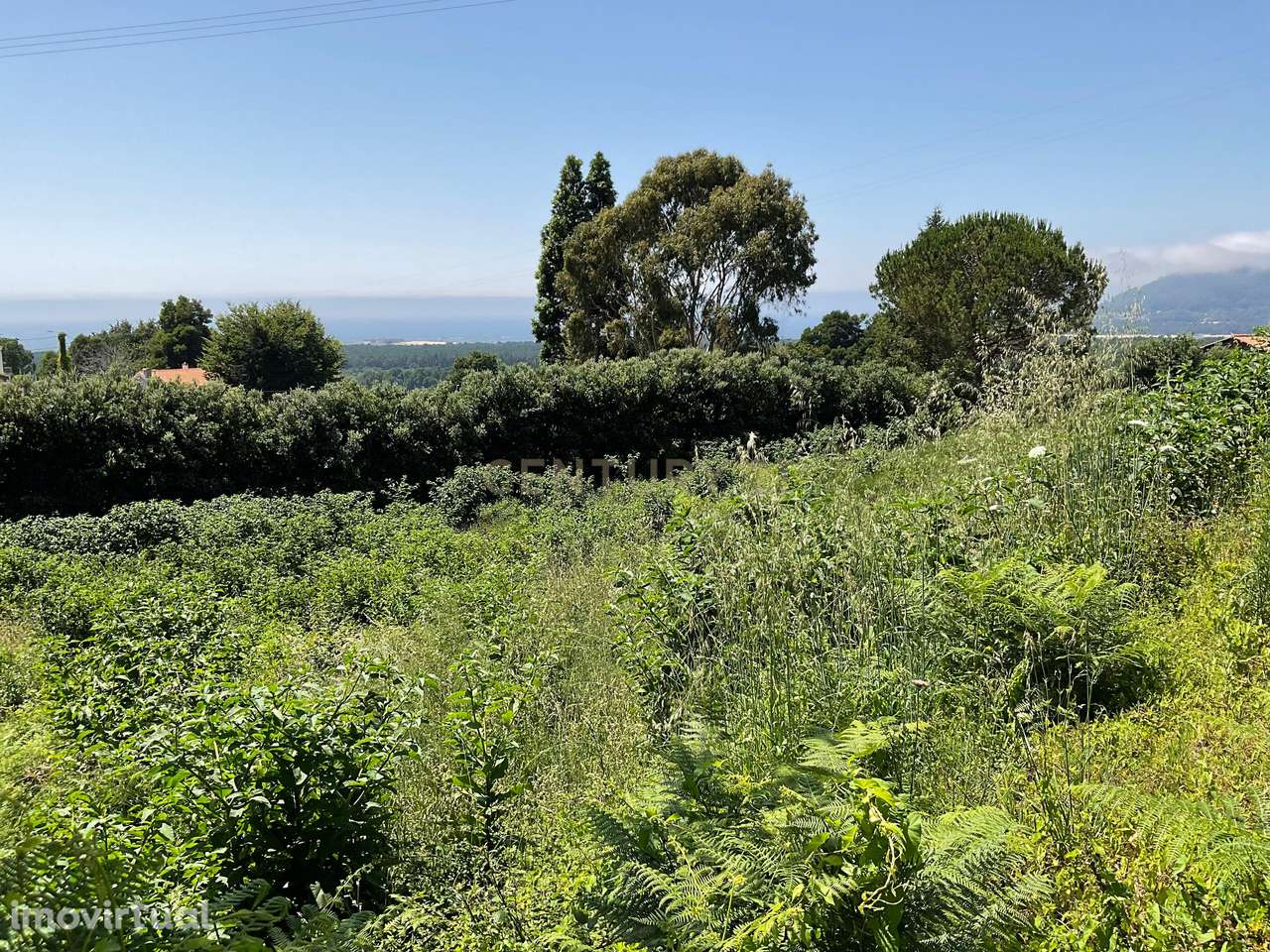 Deslumbrante Terreno com Vista Panorâmica em Cristelo, Caminha - Grande imagem: 5/11