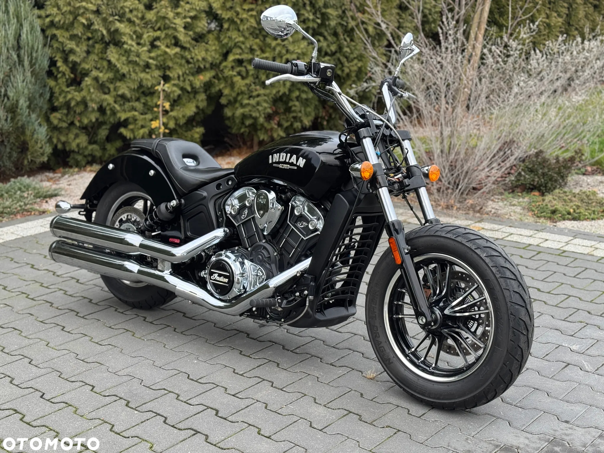 Indian Scout - 5