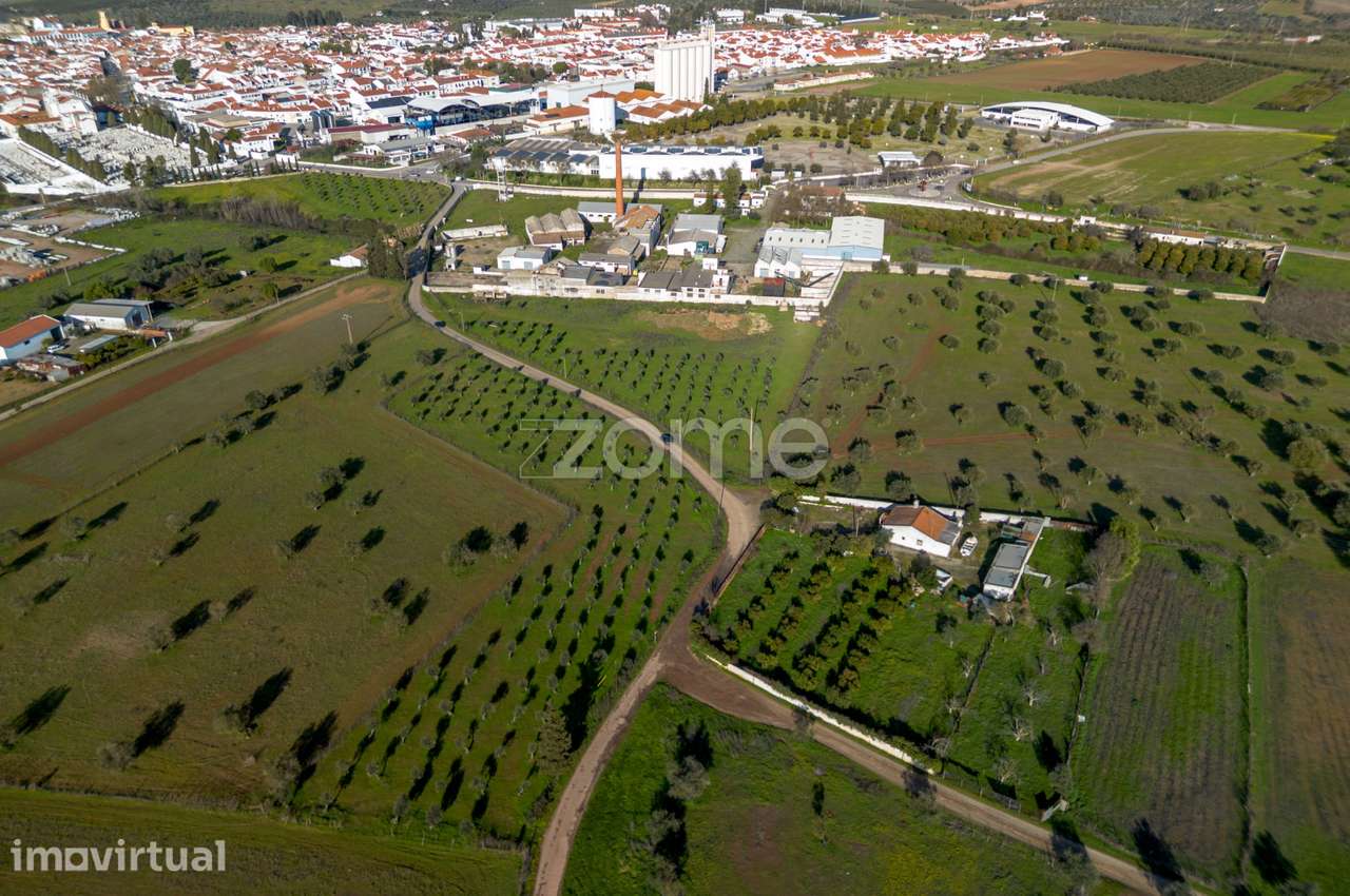 Armazens de atividade Industrial - Lagar de Azeite - Moura - Grande imagem: 2/59
