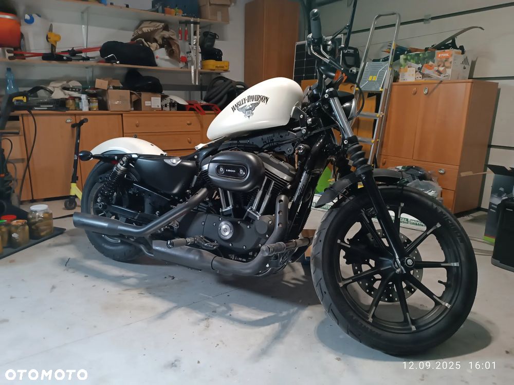 Harley-Davidson Sportster Custom 1200C - 1