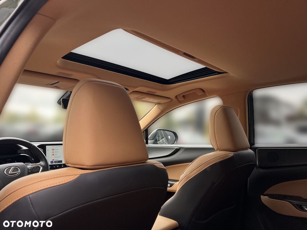 Lexus NX - 26