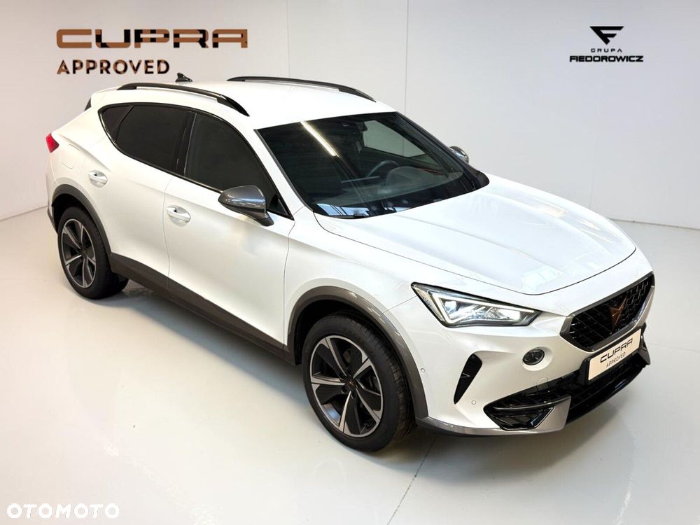 Cupra Formentor 2.0 TSI 4Drive DSG - 17