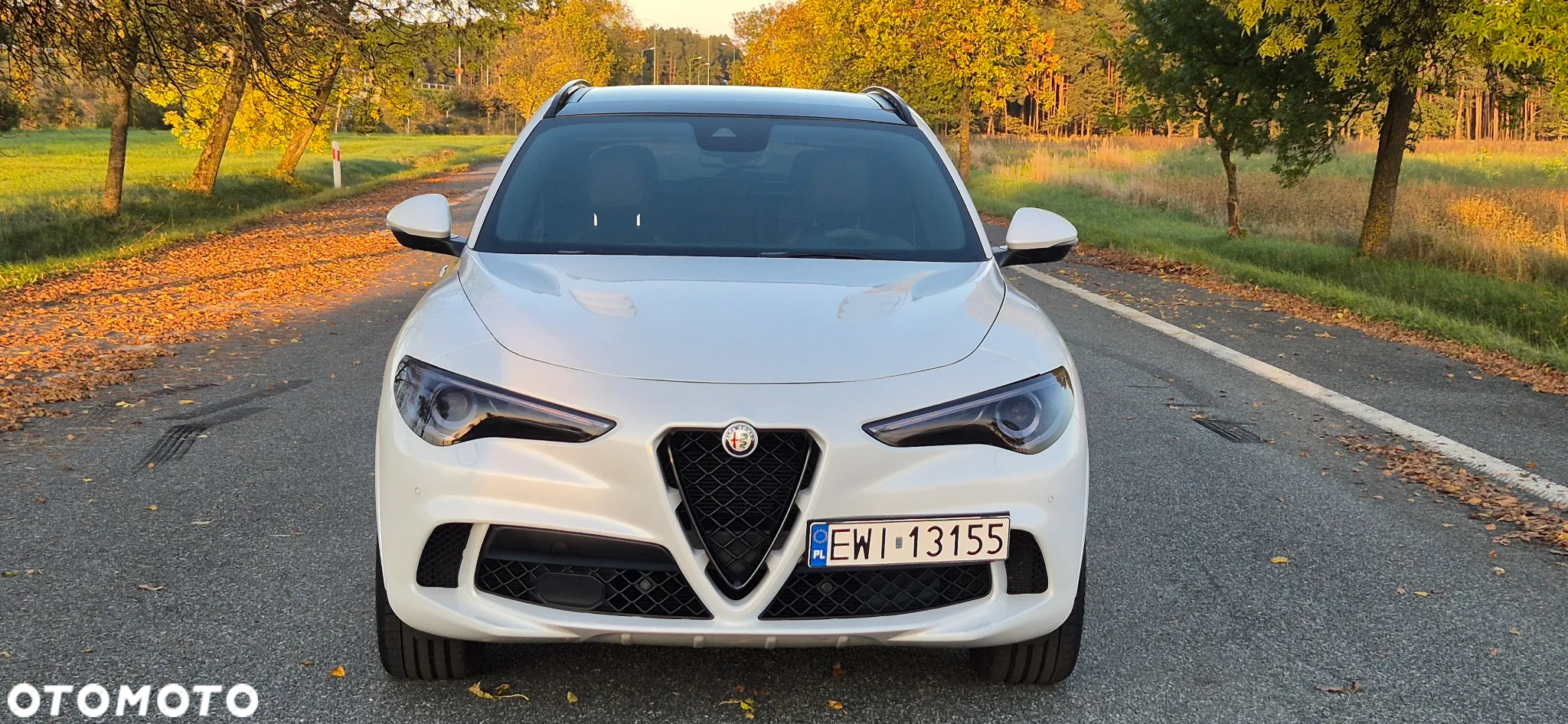 Alfa Romeo Stelvio 2.9 V6 Bi-Turbo Quadrifoglio Q4