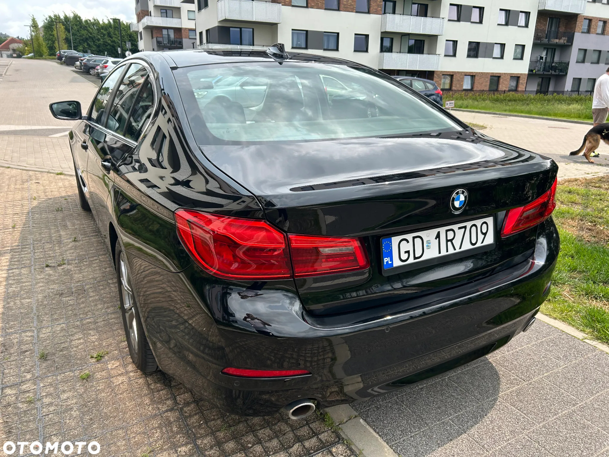 BMW Seria 5 518d Advantage - 4