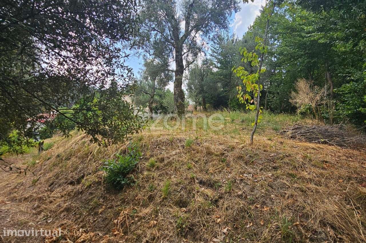 Moradia T1 para Reabilitação com Terreno em Lamelas, Ribas – Celori... - Grande imagem: 5/5