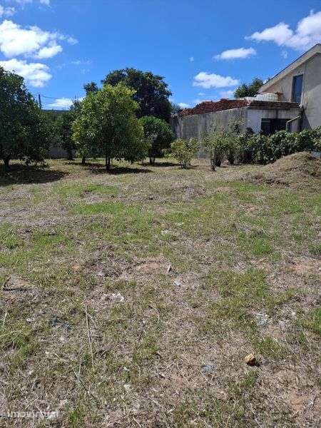 Lote de terreno Quinta do Anjo - Grande imagem: 5/8