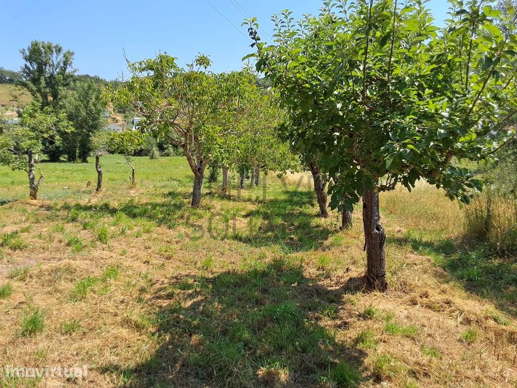 Terreno com 1000m2 em Cortes, índice construção 0,5% no PDM de Leiria - Grande imagem: 2/7