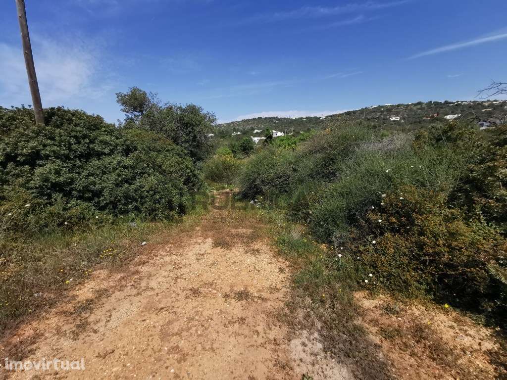 Terreno Rústico com bons acessos , entre Loulé e Boliqueime - Grande imagem: 5/14