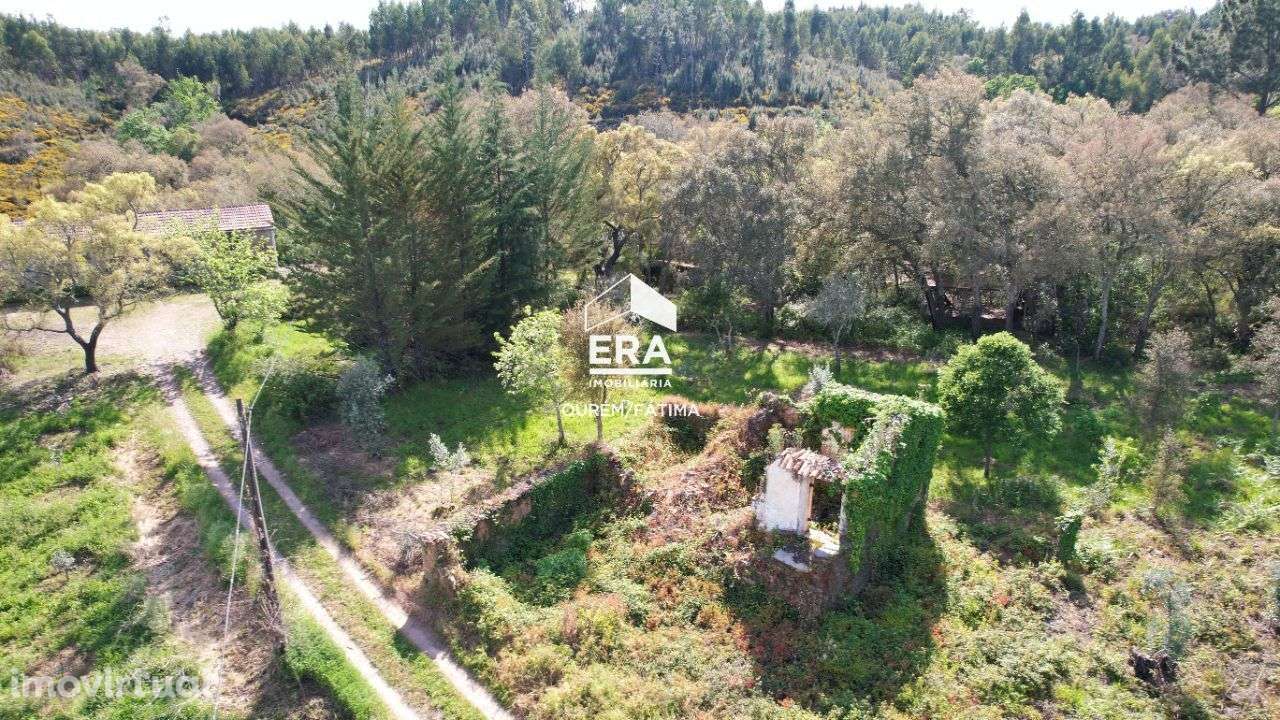 Terreno com Ruína em Pedrogão Grande - Grande imagem: 3/25