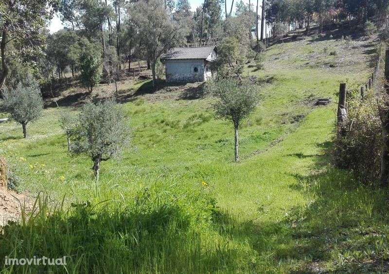 Quintinha - terreno vedado com uma  casita - Grande imagem: 2/4